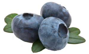 fruit-blueberry-slice